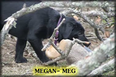 Click to see Megan